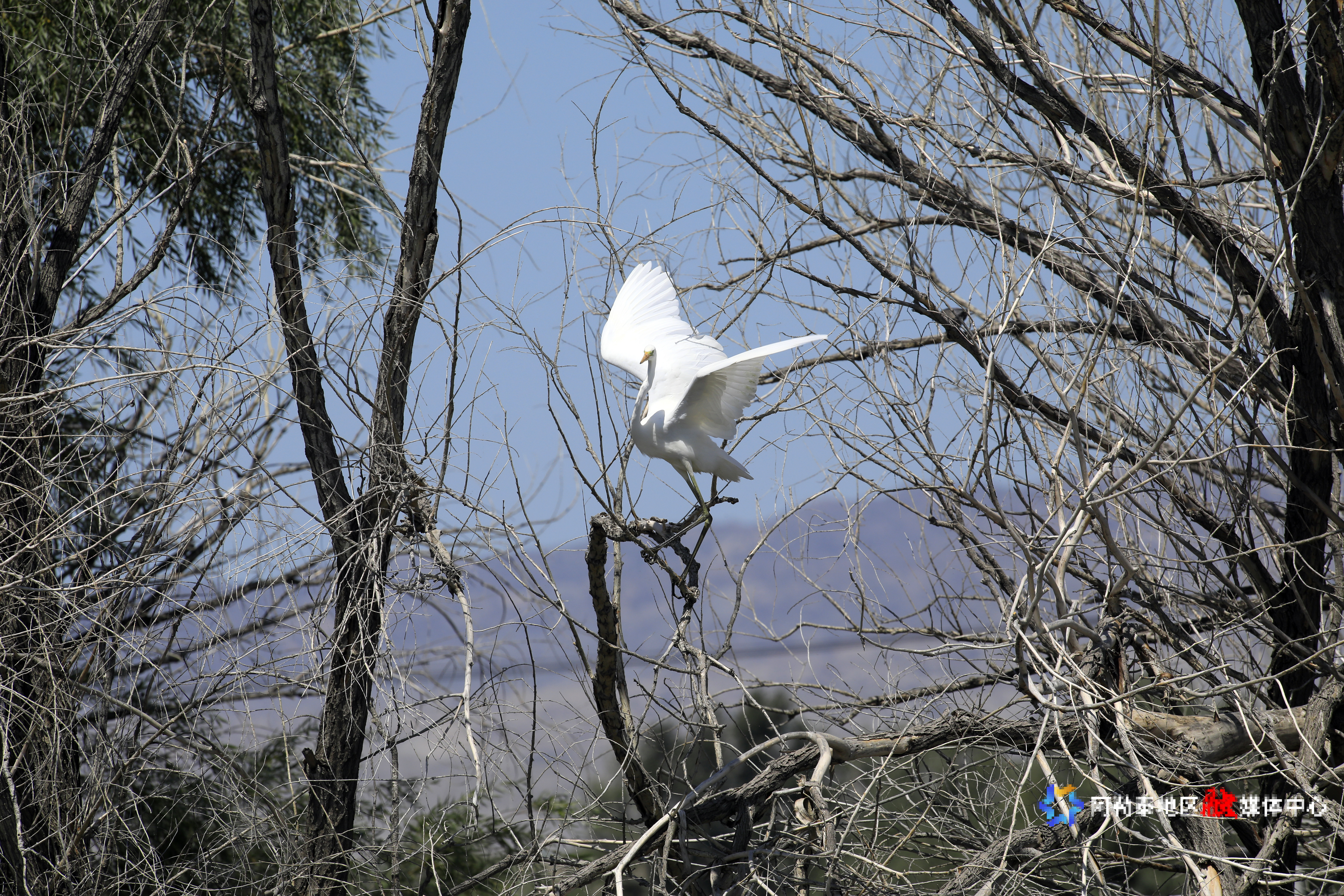 mmexport1752893462646